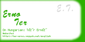 erno ter business card